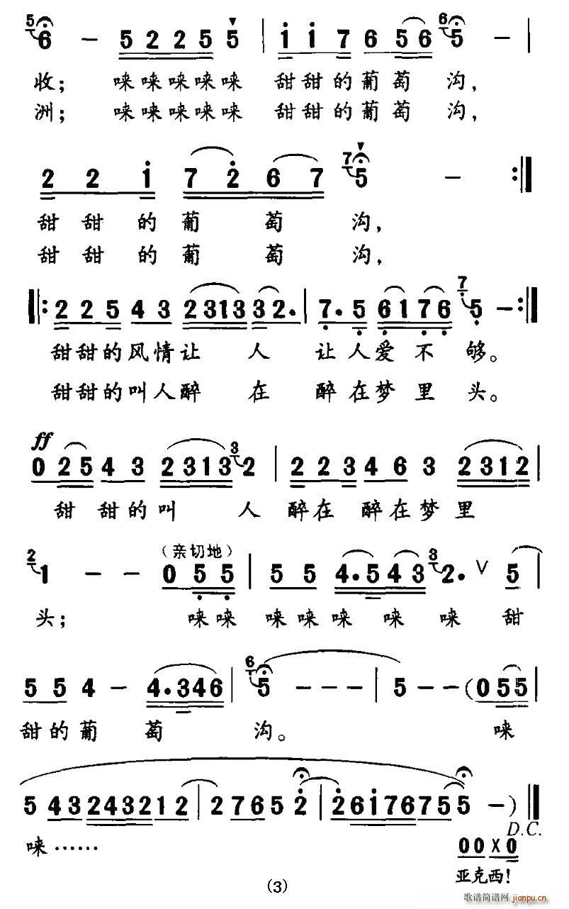 甜甜的葡萄沟(六字歌谱)3