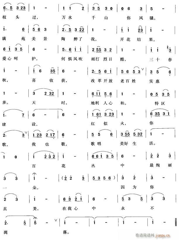 海峡西岸花一朵2(八字歌谱)1