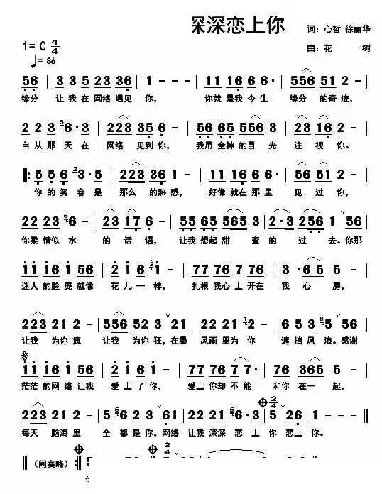 网恋让我深深爱上你(九字歌谱)1