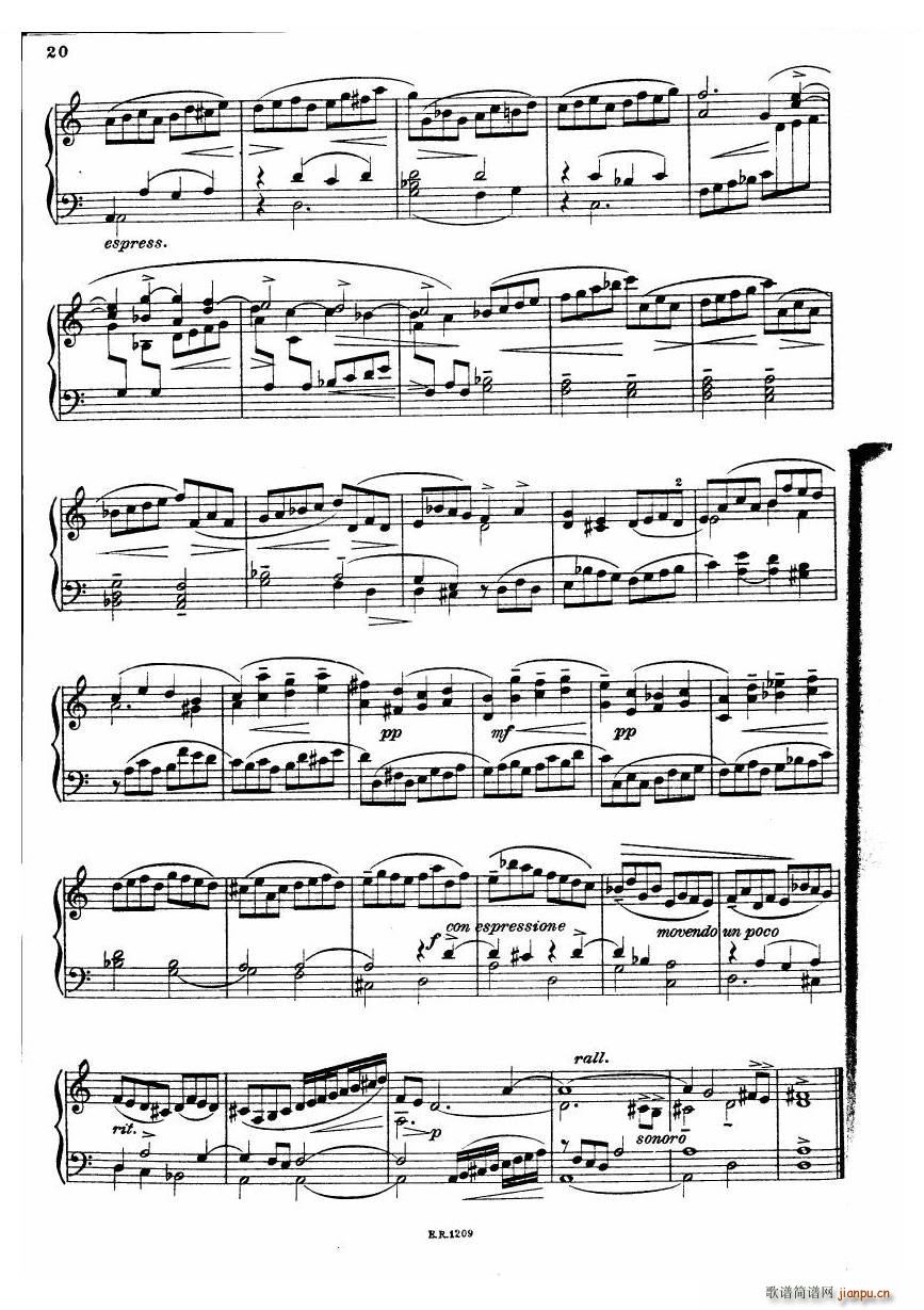 Durante Toccate Toccate(十字及以上)20