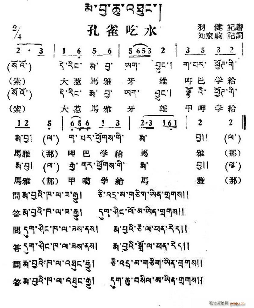 孔雀吃水 藏族民歌 藏文及音译版(十字及以上)1