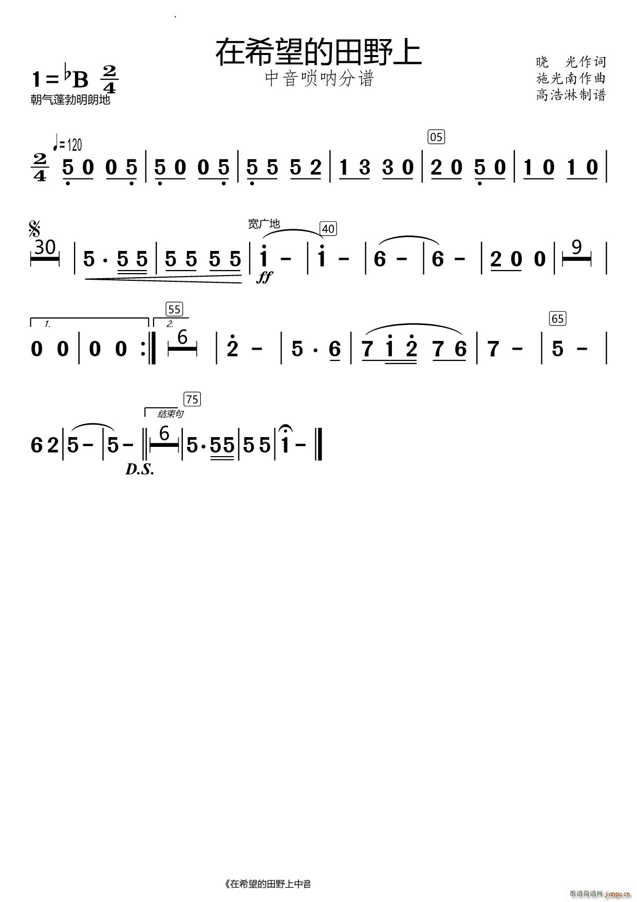在希望的田野上中音唢呐(总谱)1
