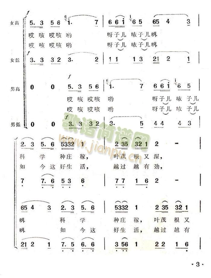 幸福的日子扎下根(八字歌谱)3