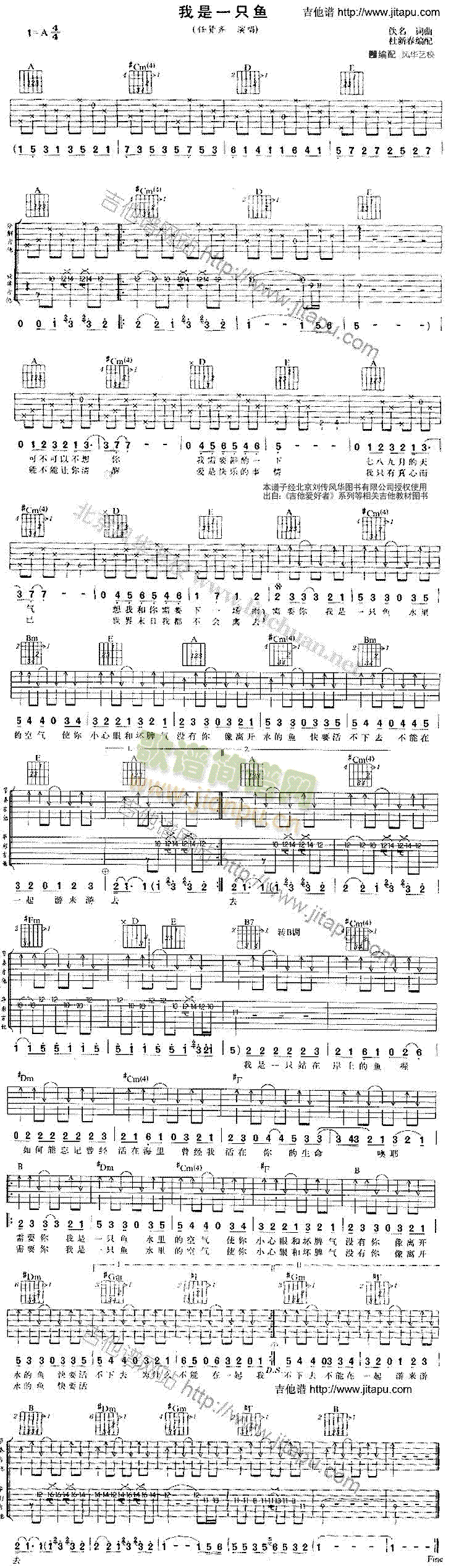 我是一只鱼(吉他谱)1