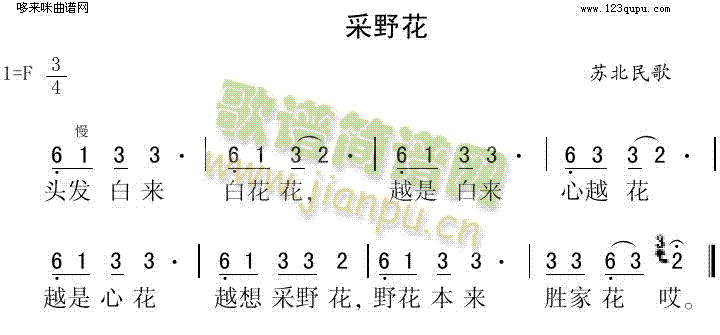 采野花(三字歌谱)1