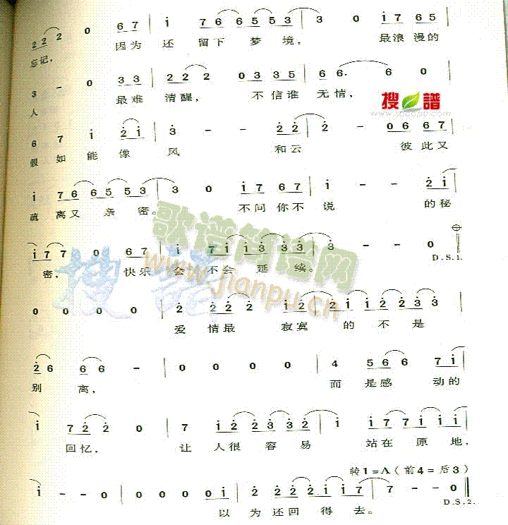 紫藤花(三字歌谱)3