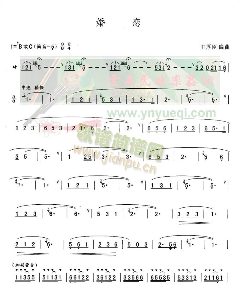 婚恋(葫芦丝谱)1