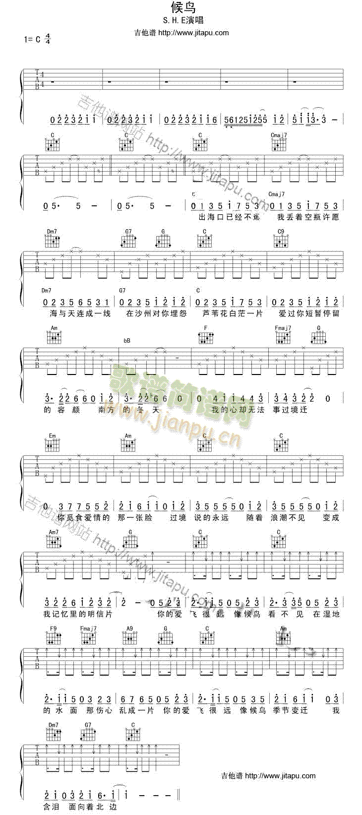 候鸟(吉他谱)1