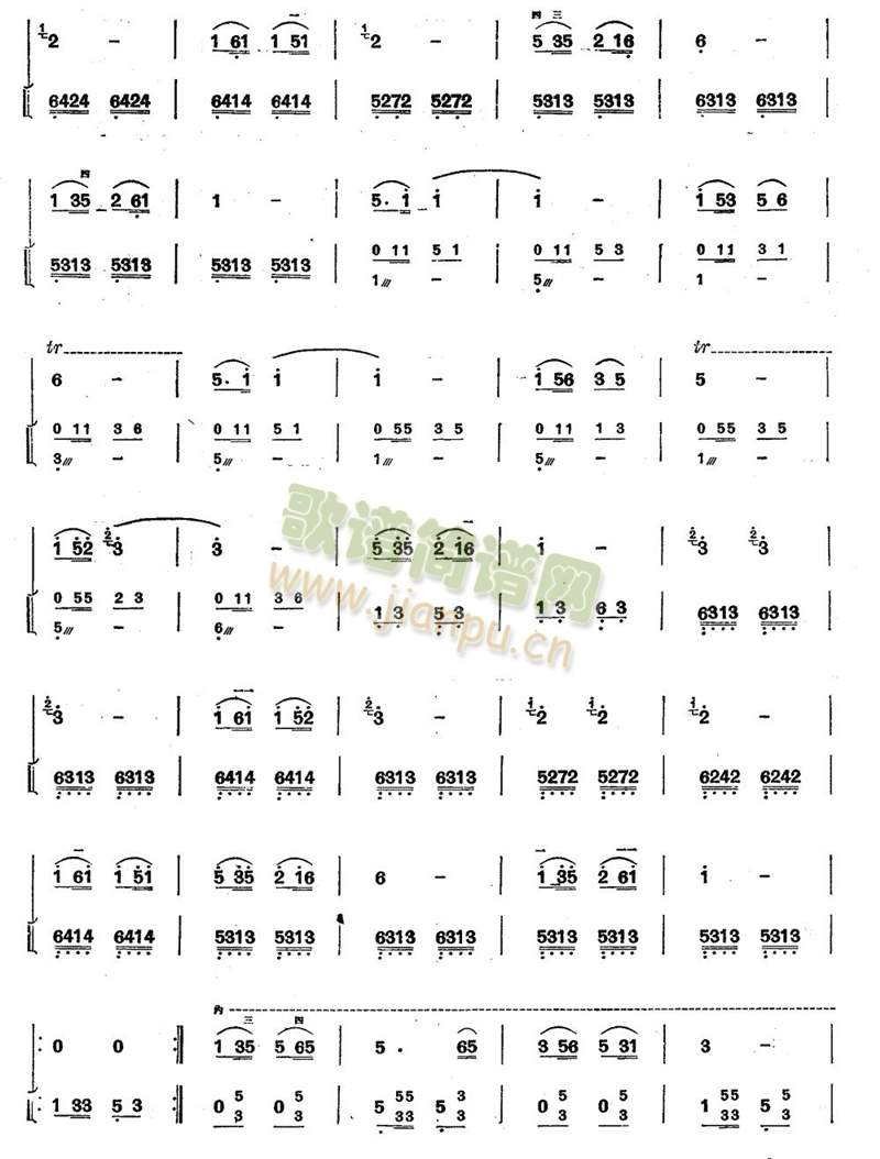 美丽的金孔雀(其他)7