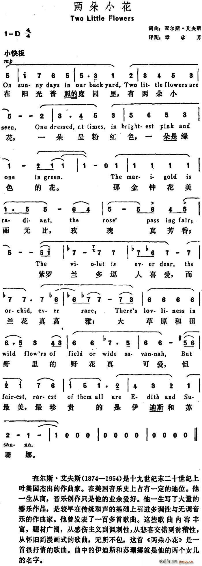 美 两朵小花 Two Little Flowers(十字及以上)1