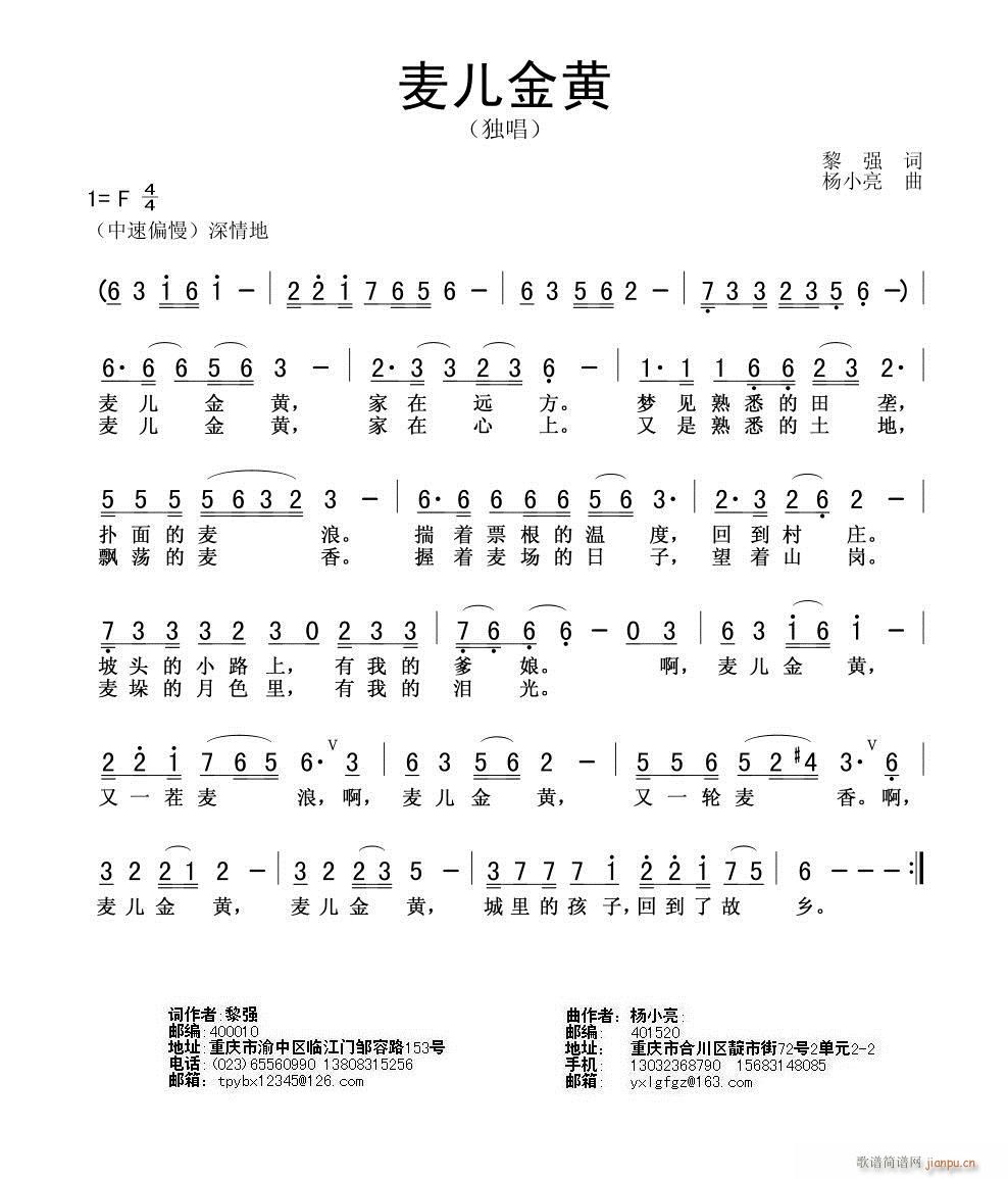 麦儿金黄(四字歌谱)1