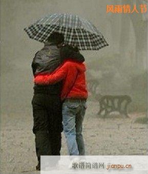 风雨情人节(五字歌谱)1