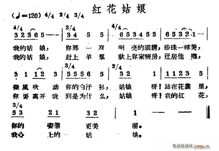 红花姑娘 哈萨克民歌(十字及以上)1