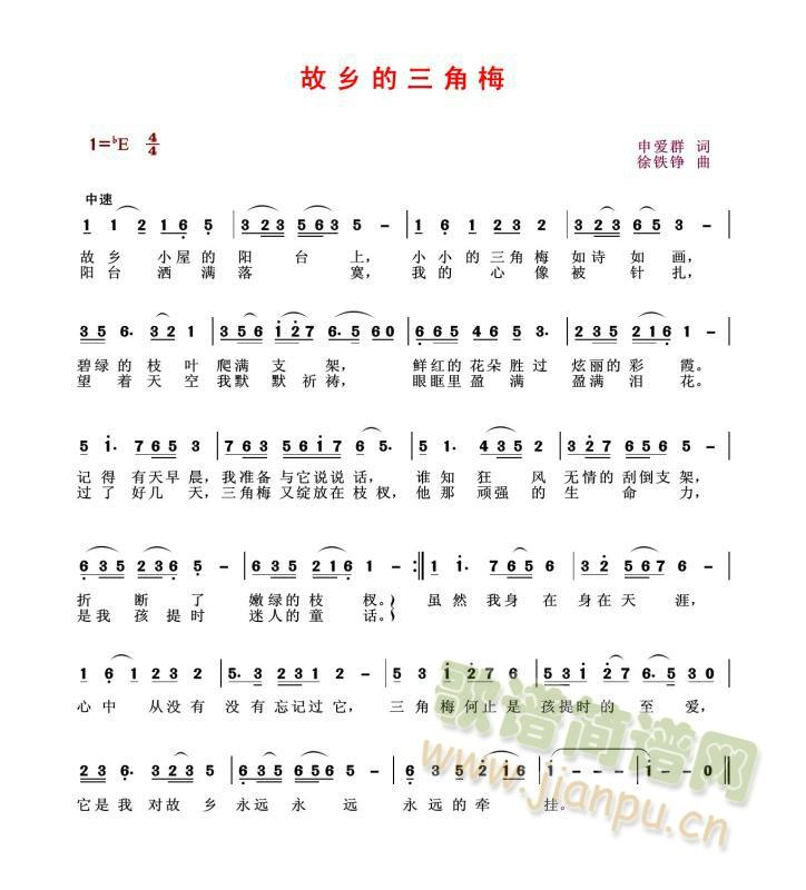 故乡的三角梅(六字歌谱)1