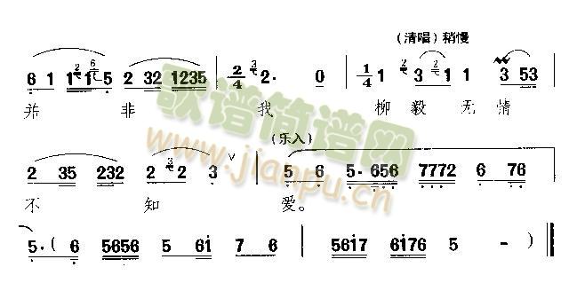 借花献弗敬一杯(七字歌谱)1