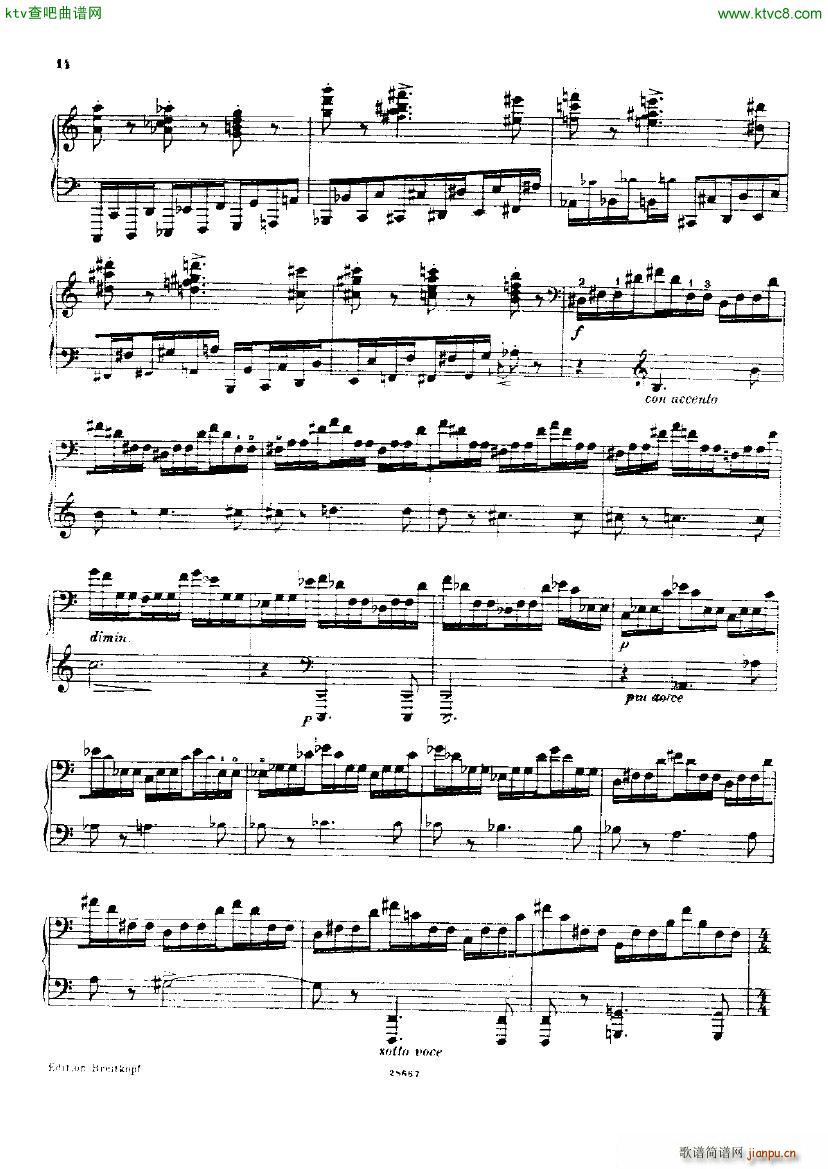 Busoni Toccata(钢琴谱)14