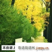 刘德华演唱会中途取消 当场痛哭向粉丝致歉 我真的唱不了了(十字及以上)1