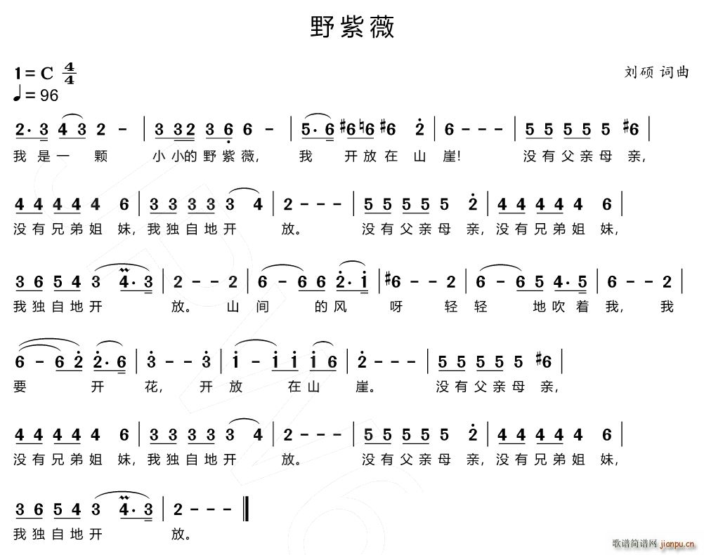 野紫薇(三字歌谱)1