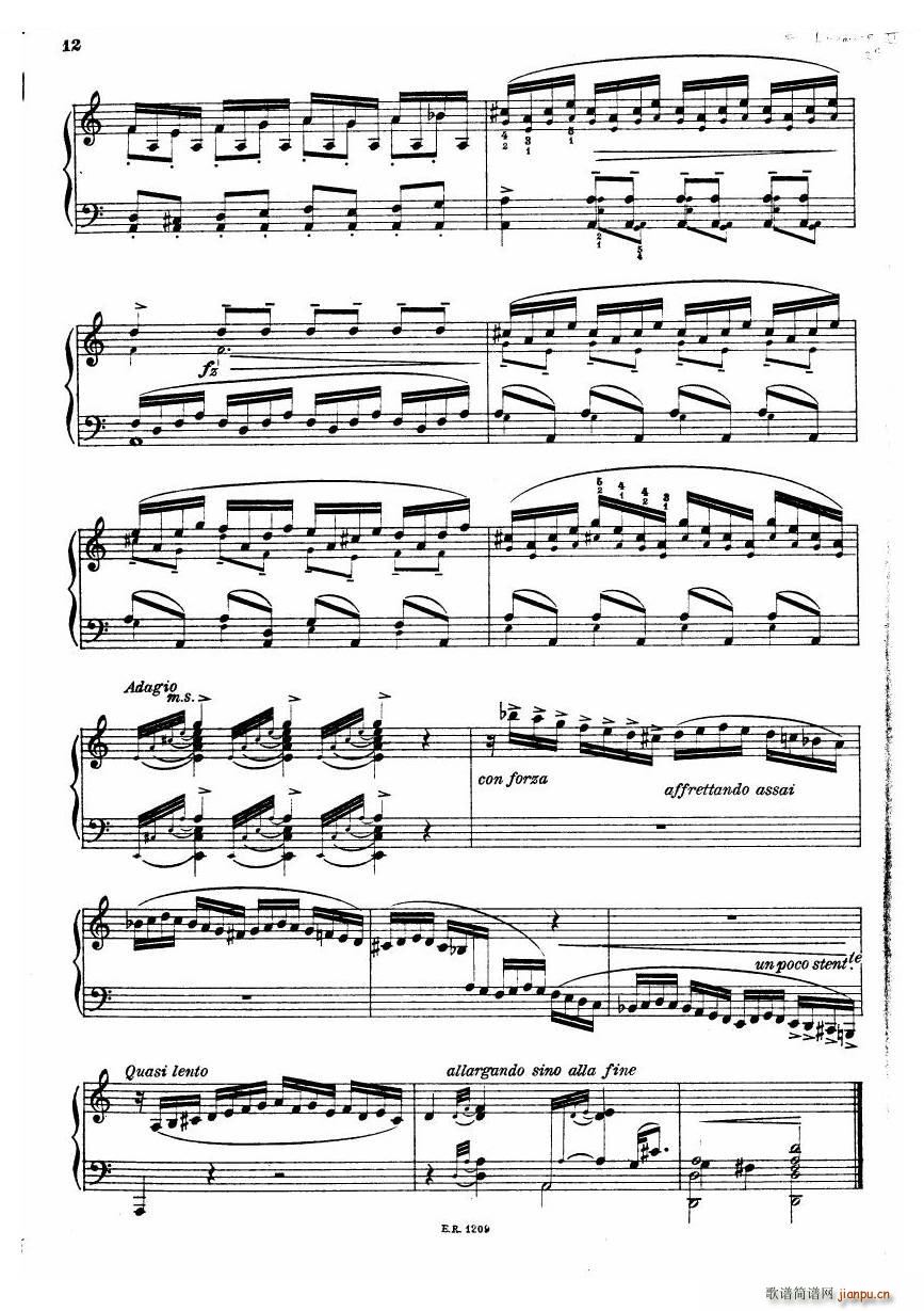 Durante Toccate Toccate(十字及以上)12