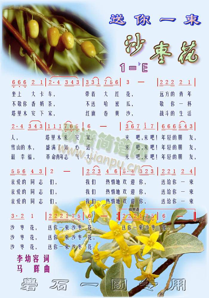 送你一束沙枣花(七字歌谱)1