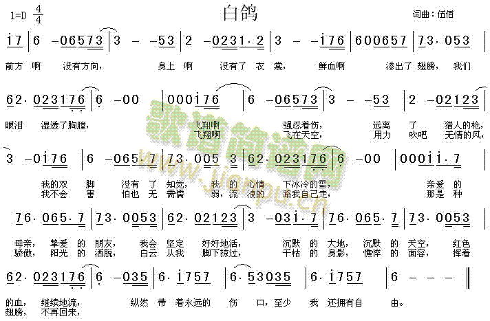 白鸽(二字歌谱)1