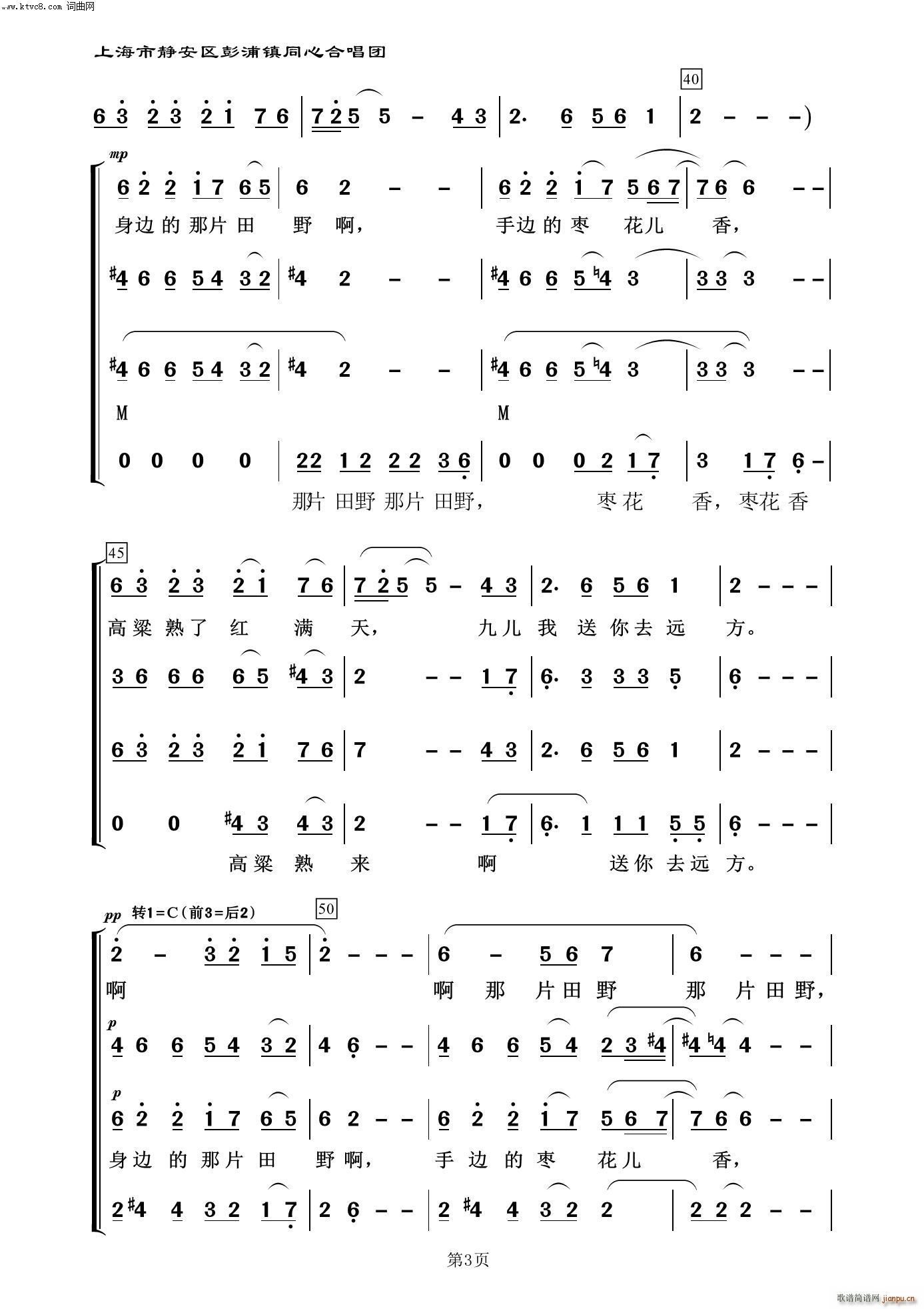 九儿 常青放歌二(八字歌谱)3