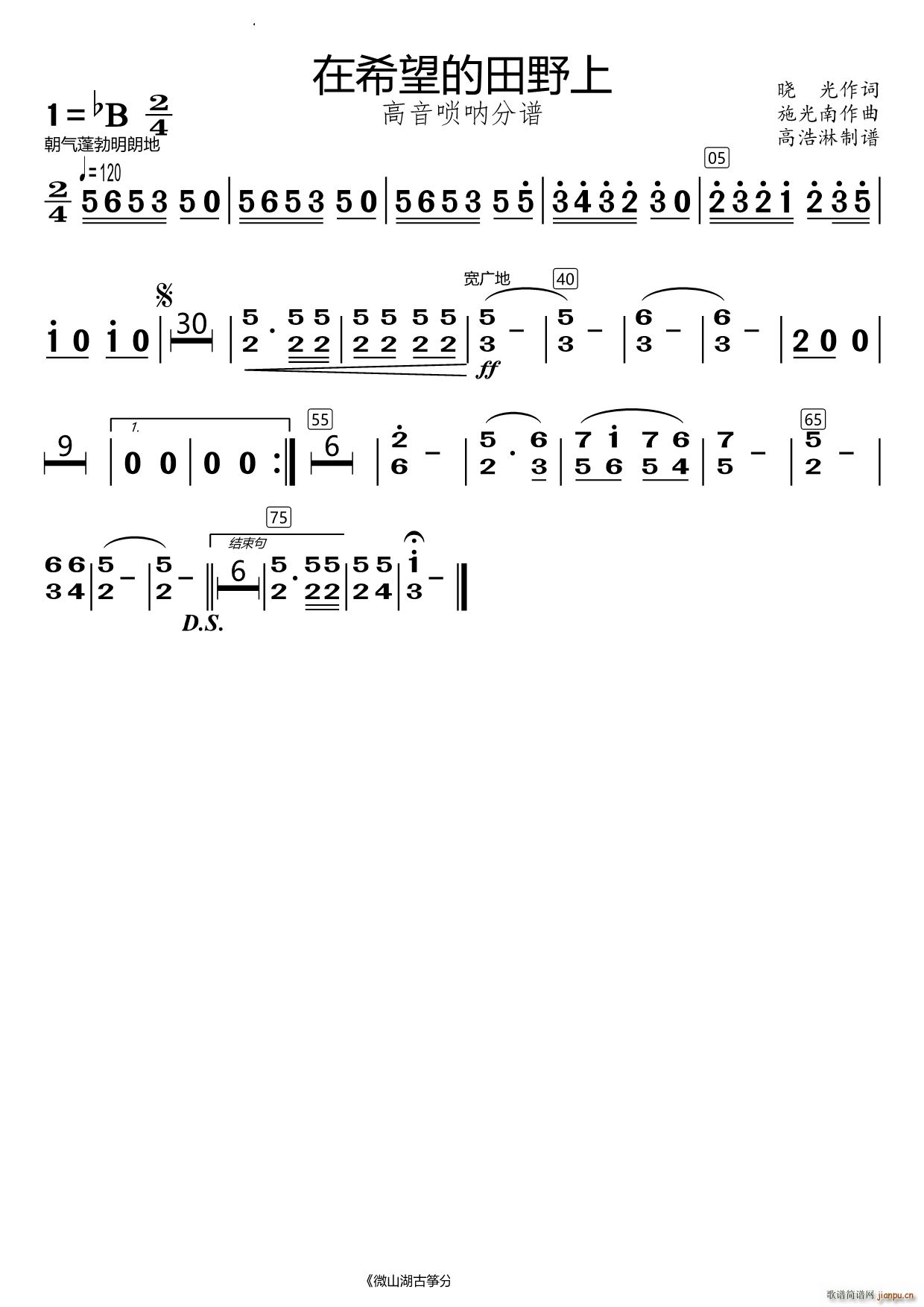 在希望的田野上高音唢呐(唢呐谱)1