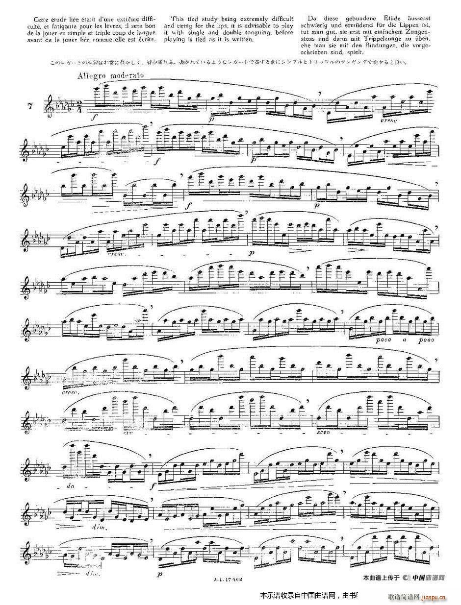 12首大技巧练习曲之7(笛箫谱)1