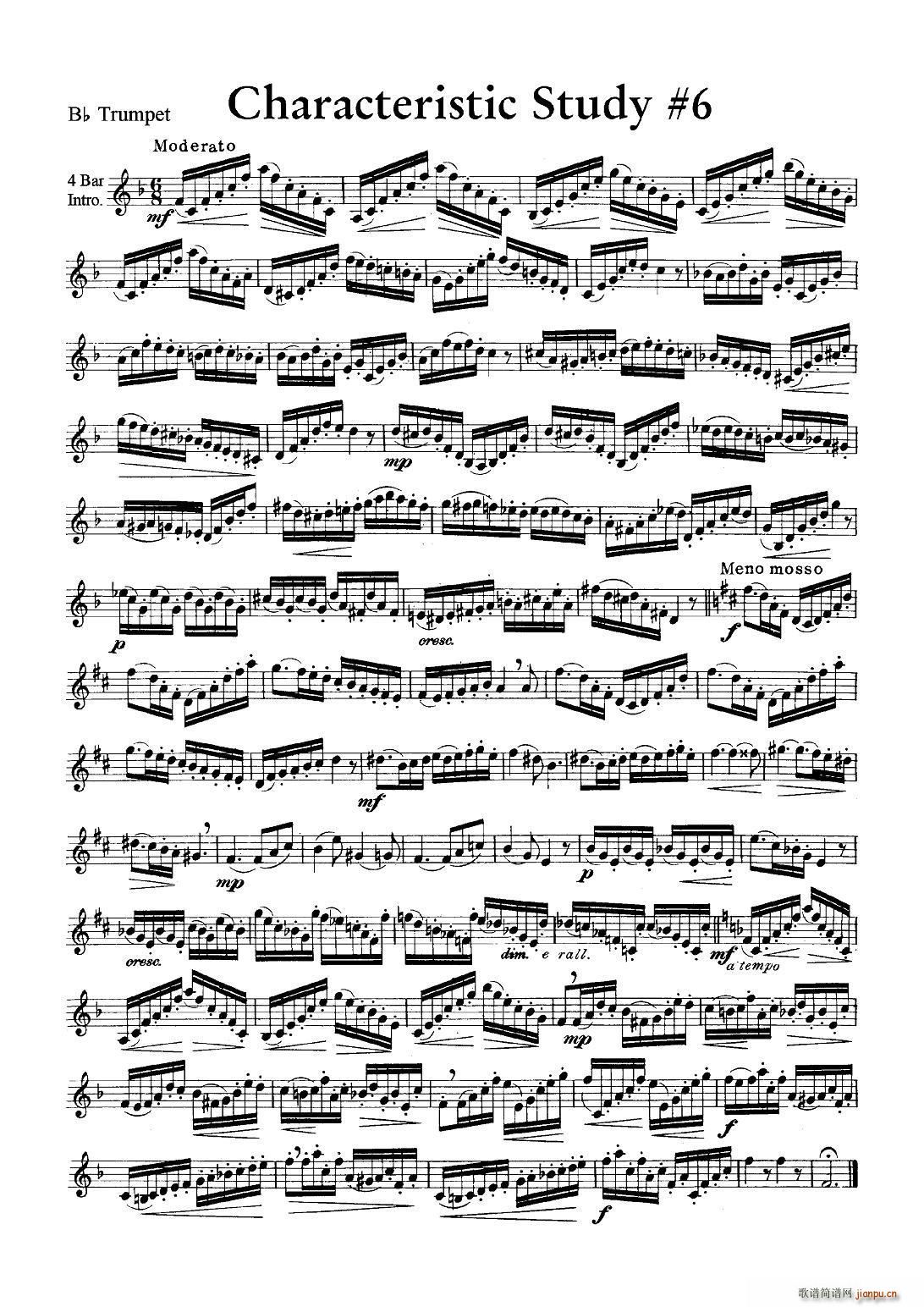 Characteristic Study 6 小号(十字及以上)1