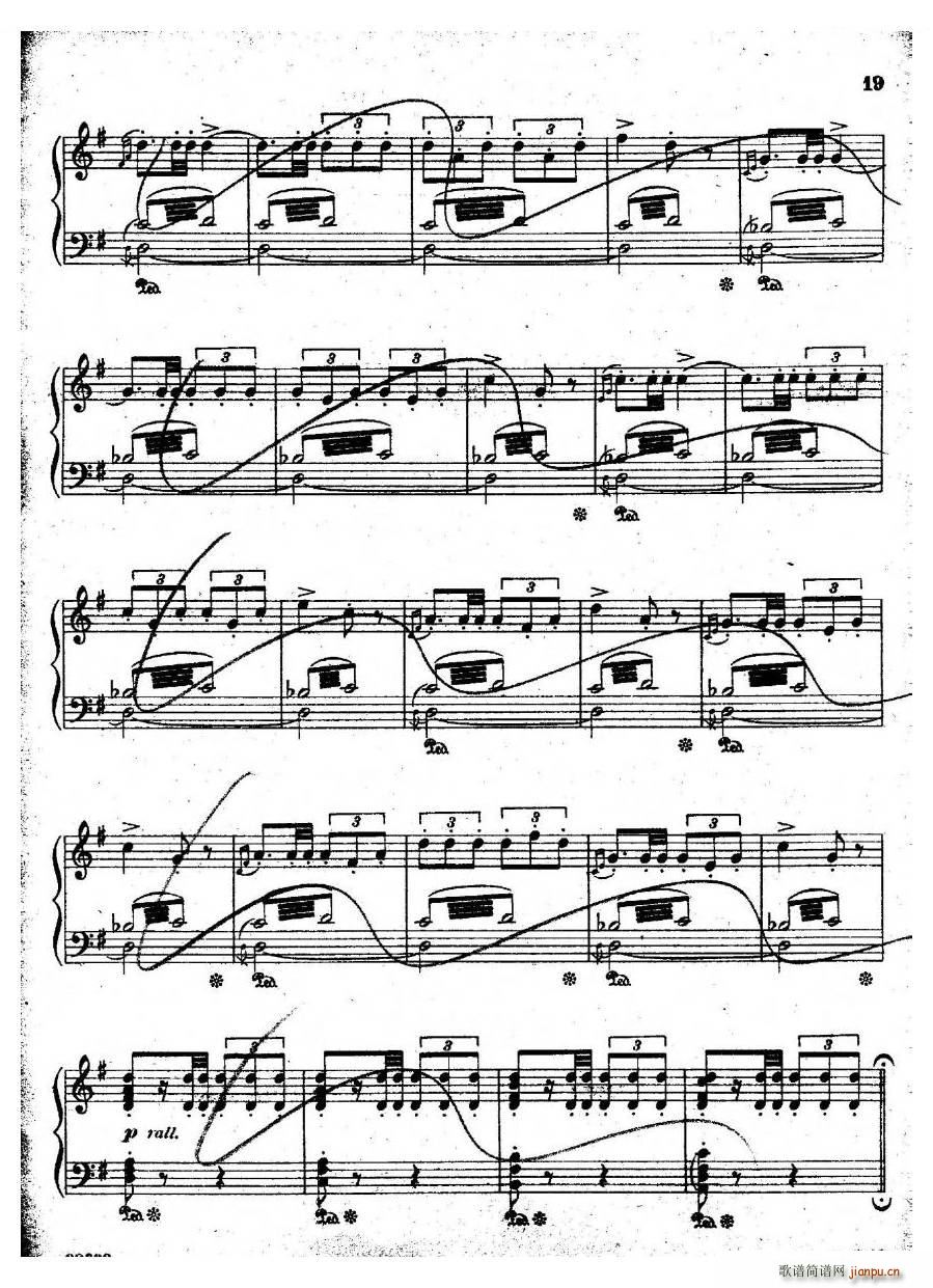 Coates Cinderella 3 Cinderella 3(十字及以上)1