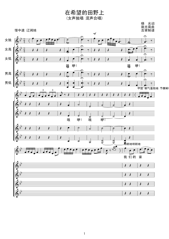 在希望的田野上线谱(九字歌谱)1