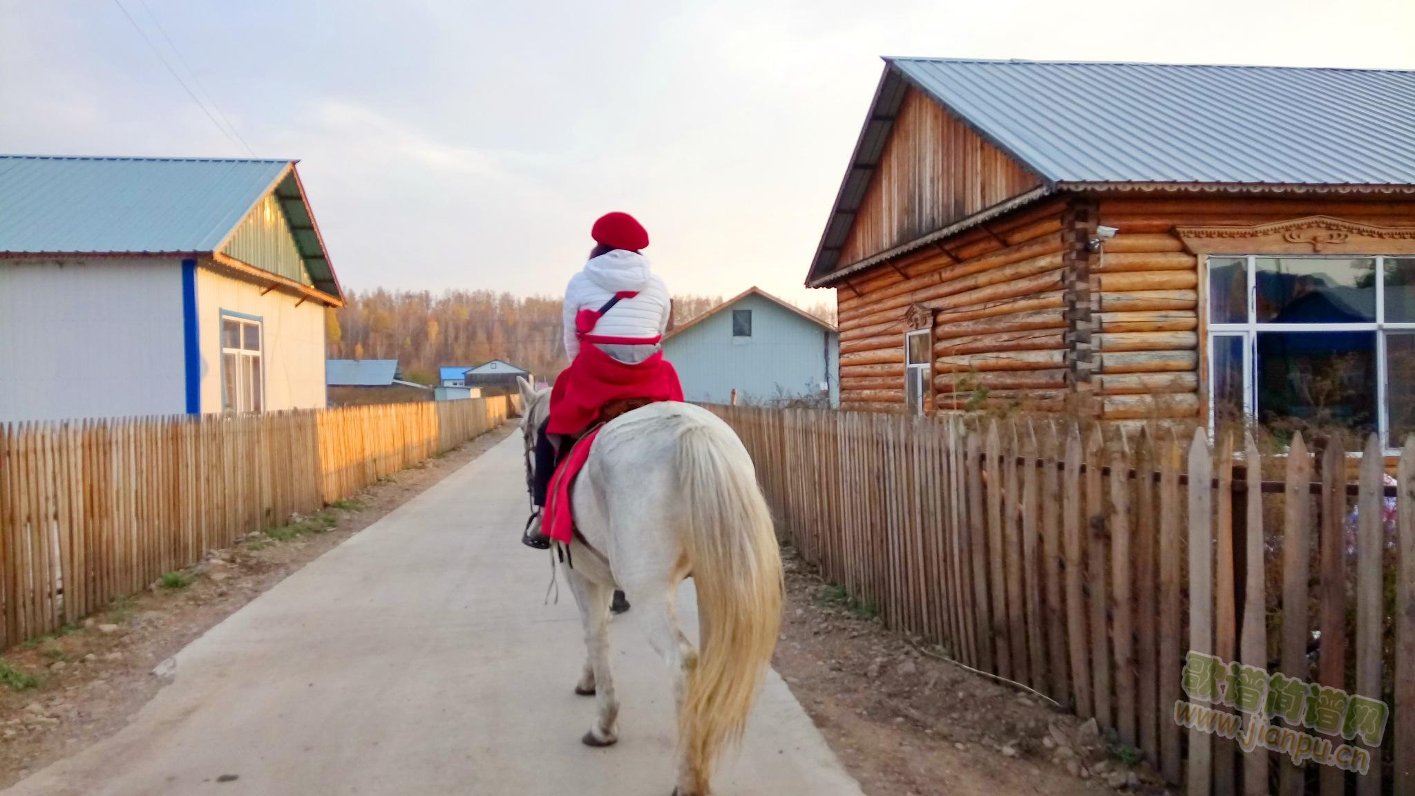 歌在飛(三字歌谱)1