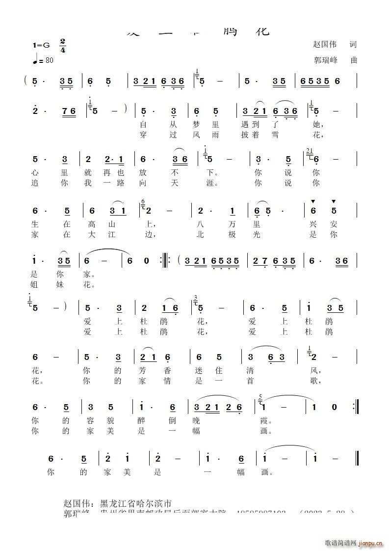 爱上杜鹃花(五字歌谱)1