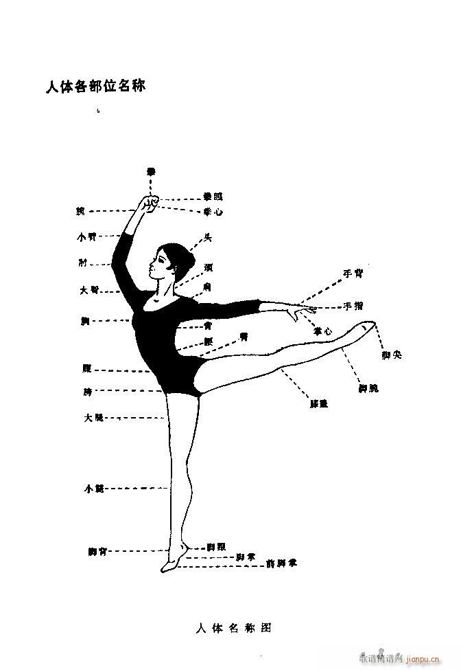 舞蹈动作选 目录 40(十字及以上)6