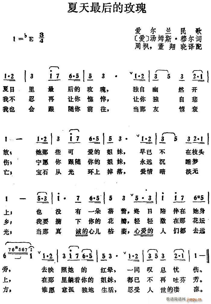 爱尔兰 夏天最后的玫瑰(十字及以上)1