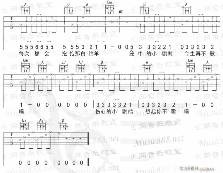 伤心的小鹦鹉(吉他谱)3