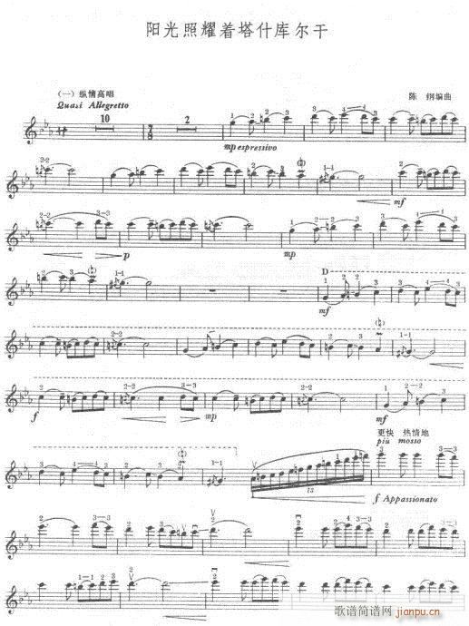 阳光照耀着塔什库尔干-提琴(笛箫谱)1