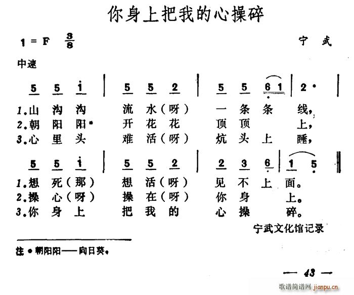 你身上把我的心操碎(九字歌谱)1