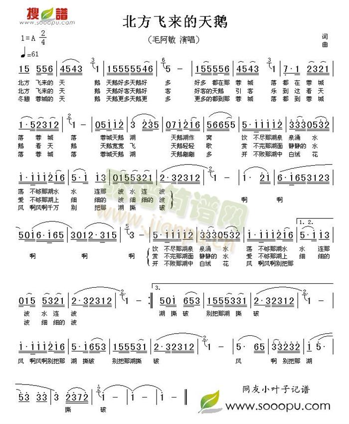 北方飞来的天鹅(七字歌谱)1