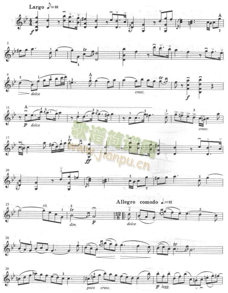 塔尔蒂尼(其他)5