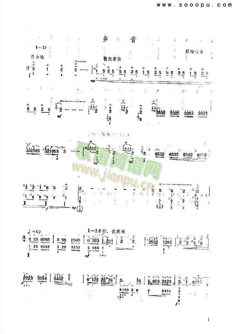 乡音民乐类琵琶(其他乐谱)1