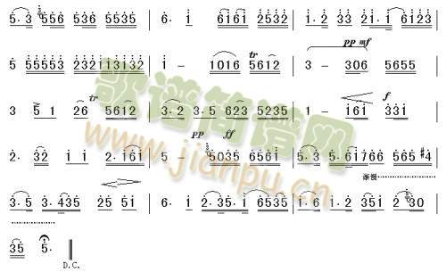 二泉映月(其他)3