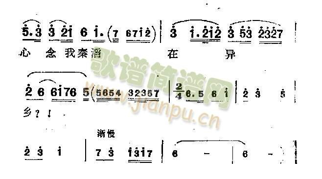 皎皎明月(其他)5