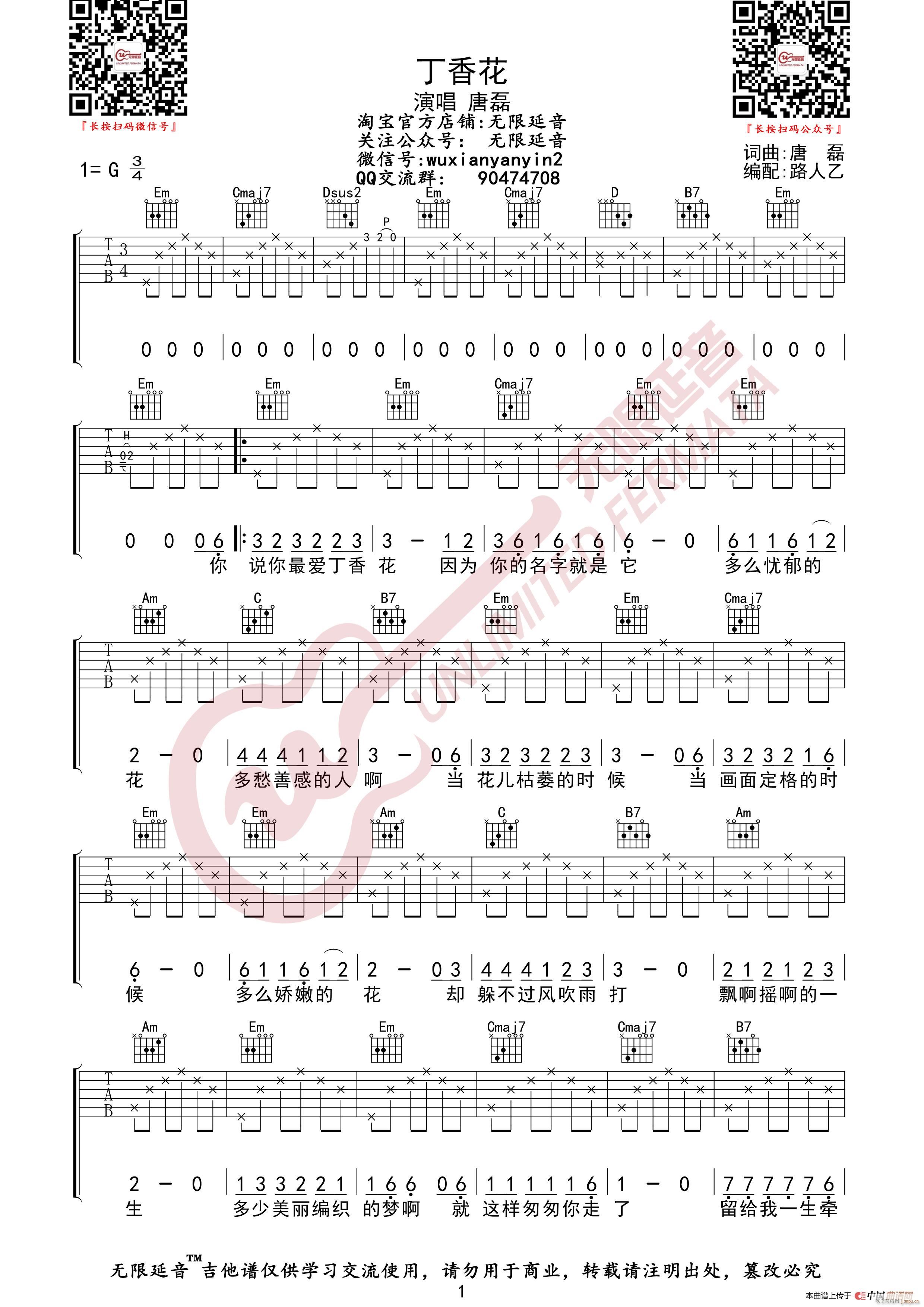 唐磊 丁香花 无限延音编配(吉他谱)1