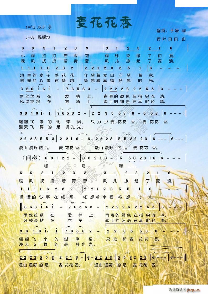 麦花花香(四字歌谱)1