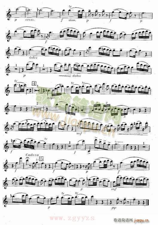 Morzat C Major Concerto(十字及以上)6