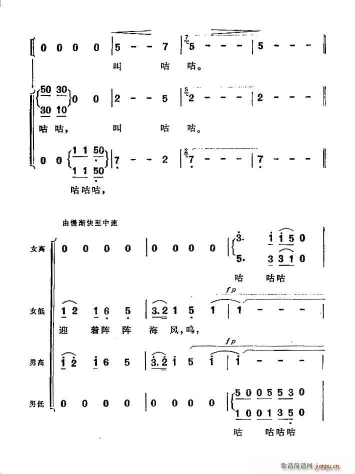 小鸽子啊 飞呀合唱谱(十字及以上)3
