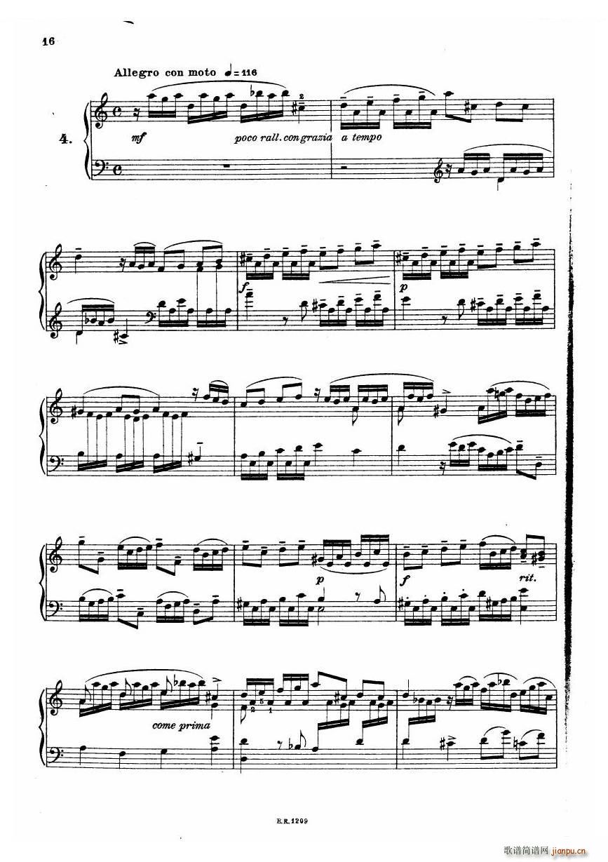 Durante Toccate Toccate(十字及以上)16
