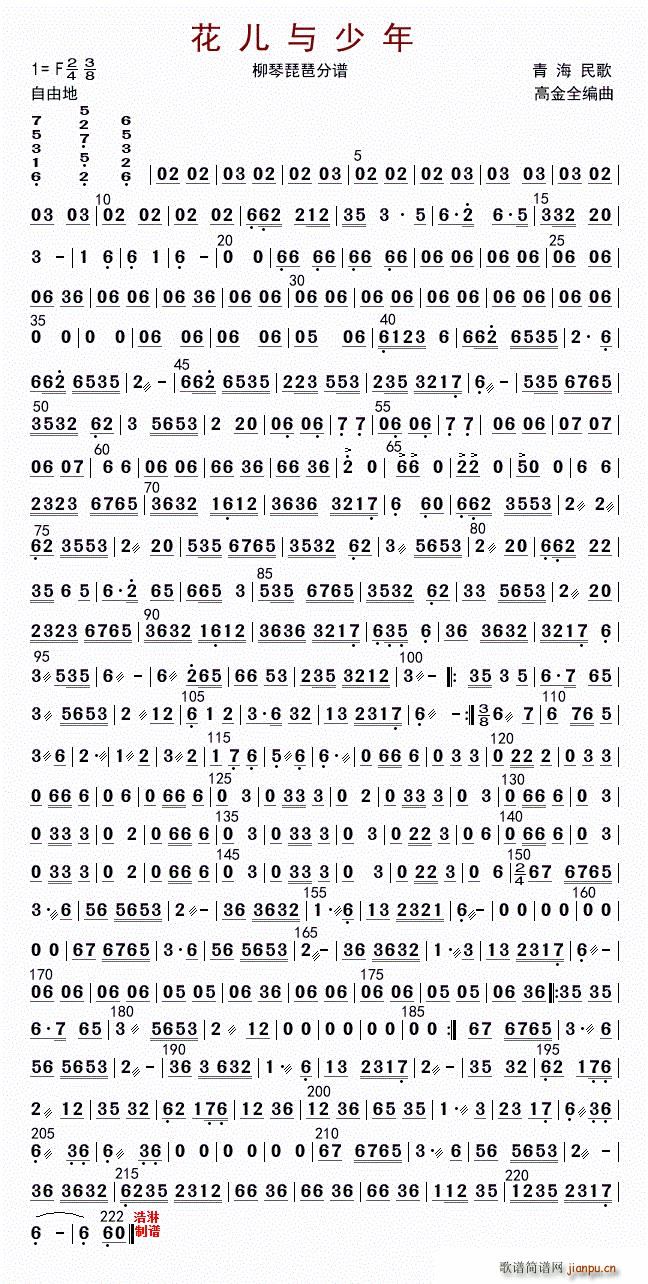 花儿与少年 琵琶(琵琶谱)1