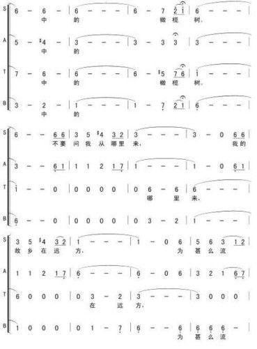 橄榄树(三字歌谱)5